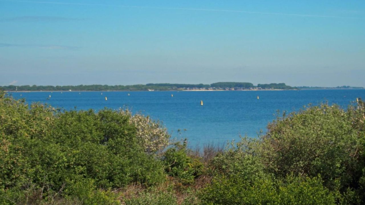 AreaSummer1KM AreaSummer1KM